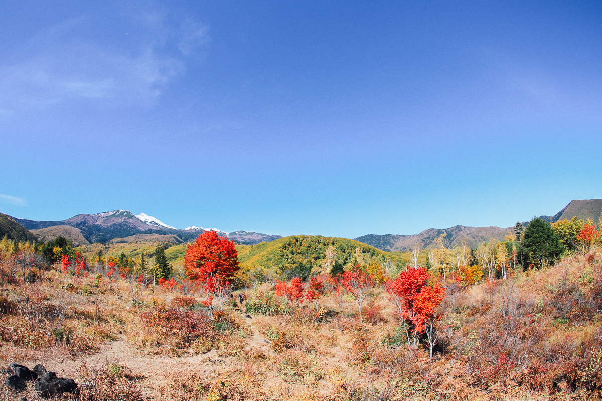 Fall Colors in Ichinose Meadow