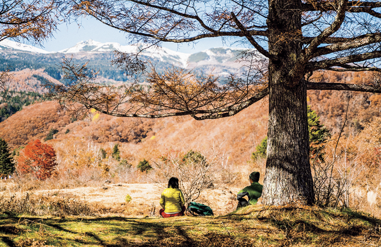 日本初の「ゼロカーボンパーク」乗鞍高原が描く、地域おこしのカタチ